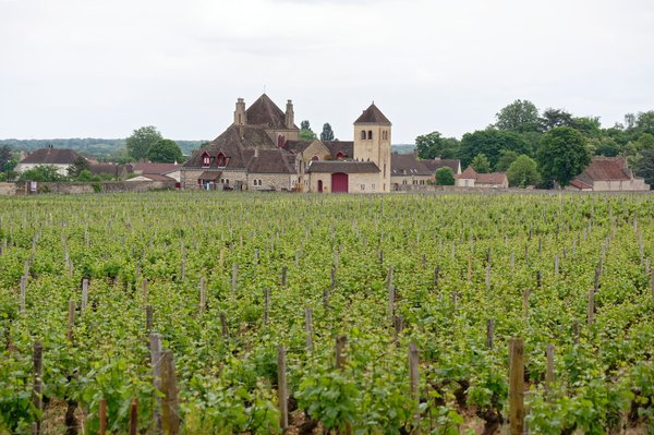 Les vacances en familles idéales à Bourgogne